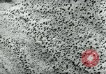 Image of Azon Bomb United States USA, 1940, second 40 stock footage video 65675036020