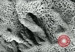 Image of Azon Bomb United States USA, 1940, second 45 stock footage video 65675036020