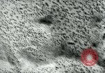 Image of Azon Bomb United States USA, 1940, second 49 stock footage video 65675036020
