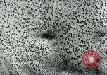 Image of Azon Bomb United States USA, 1940, second 50 stock footage video 65675036020