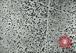 Image of Azon Bomb United States USA, 1940, second 62 stock footage video 65675036020