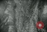 Image of Azon Aerial Bombs dropped United States USA, 1940, second 11 stock footage video 65675036021