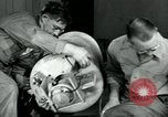 Image of Heat Seeking Bomb VB-6 Felix United States USA, 1940, second 24 stock footage video 65675036023