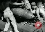 Image of Powered Controllable Weapon YPQ-12-A United States USA, 1940, second 19 stock footage video 65675036024