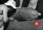 Image of Powered Controllable Weapon YPQ-12-A United States USA, 1940, second 38 stock footage video 65675036024
