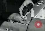Image of Powered Controllable Weapon YPQ-12-A United States USA, 1940, second 53 stock footage video 65675036024