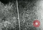 Standbild hohen Winkel steuerbare Bomben im Azimut nur United States USA, 1944, aus Sekunde 56 historischem Filmmaterial Videoclip 65675036032