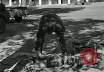 Image of Azon Bombs India, 1945, second 24 stock footage video 65675036036