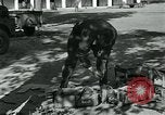 Image of Azon Bombs India, 1945, second 29 stock footage video 65675036036