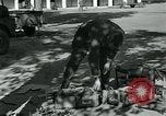 Image of Azon Bombs India, 1945, second 30 stock footage video 65675036036