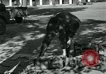 Image of Azon Bombs India, 1945, second 31 stock footage video 65675036036