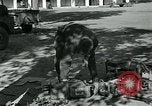 Image of Azon Bombs India, 1945, second 40 stock footage video 65675036036