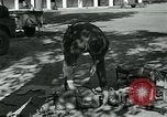 Image of Azon Bombs India, 1945, second 41 stock footage video 65675036036