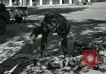 Image of Azon Bombs India, 1945, second 42 stock footage video 65675036036