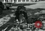 Image of Azon Bombs India, 1945, second 45 stock footage video 65675036036