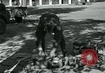 Image of Azon Bombs India, 1945, second 46 stock footage video 65675036036