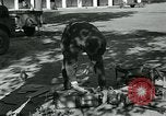 Image of Azon Bombs India, 1945, second 47 stock footage video 65675036036