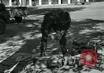 Image of Azon Bombs India, 1945, second 49 stock footage video 65675036036