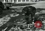 Image of Azon Bombs India, 1945, second 55 stock footage video 65675036036