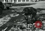 Image of Azon Bombs India, 1945, second 56 stock footage video 65675036036