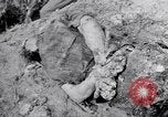 Immagine di Corpi morti Belgio, 1944, secondo 4 filmato di repertorio 65675036056