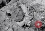 Immagine di Corpi morti Belgio, 1944, secondo 5 filmato di repertorio 65675036056