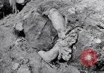 Immagine di Corpi morti Belgio, 1944, secondo 6 filmato di repertorio 65675036056