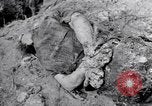 Immagine di Corpi morti Belgio, 1944, secondo 7 filmato di repertorio 65675036056