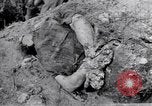 Immagine di Corpi morti Belgio, 1944, secondo 8 filmato di repertorio 65675036056