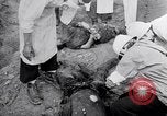 Immagine di Corpi morti Belgio, 1944, secondo 10 filmato di repertorio 65675036056