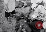 Immagine di Corpi morti Belgio, 1944, secondo 11 filmato di repertorio 65675036056