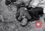 Immagine di Corpi morti Belgio, 1944, secondo 13 filmato di repertorio 65675036056