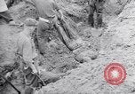 Immagine di Corpi morti Belgio, 1944, secondo 14 filmato di repertorio 65675036056