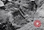 Immagine di Corpi morti Belgio, 1944, secondo 15 filmato di repertorio 65675036056