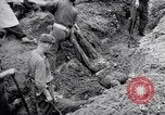 Immagine di Corpi morti Belgio, 1944, secondo 16 filmato di repertorio 65675036056