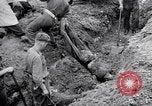 Immagine di Corpi morti Belgio, 1944, secondo 17 filmato di repertorio 65675036056
