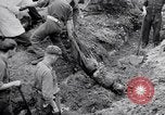 Immagine di Corpi morti Belgio, 1944, secondo 18 filmato di repertorio 65675036056