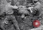Immagine di Corpi morti Belgio, 1944, secondo 20 filmato di repertorio 65675036056