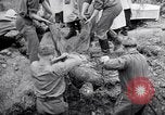 Immagine di Corpi morti Belgio, 1944, secondo 21 filmato di repertorio 65675036056