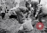 Immagine di Corpi morti Belgio, 1944, secondo 24 filmato di repertorio 65675036056