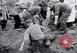 Immagine di Corpi morti Belgio, 1944, secondo 25 filmato di repertorio 65675036056