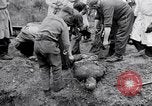 Immagine di Corpi morti Belgio, 1944, secondo 27 filmato di repertorio 65675036056