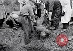 Immagine di Corpi morti Belgio, 1944, secondo 28 filmato di repertorio 65675036056