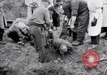 Immagine di Corpi morti Belgio, 1944, secondo 29 filmato di repertorio 65675036056