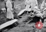 Immagine di Corpi morti Belgio, 1944, secondo 34 filmato di repertorio 65675036056