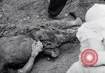 Immagine di Corpi morti Belgio, 1944, secondo 36 filmato di repertorio 65675036056