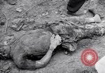 Immagine di Corpi morti Belgio, 1944, secondo 38 filmato di repertorio 65675036056