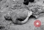 Immagine di Corpi morti Belgio, 1944, secondo 40 filmato di repertorio 65675036056