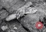 Immagine di Corpi morti Belgio, 1944, secondo 45 filmato di repertorio 65675036056