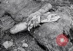 Immagine di Corpi morti Belgio, 1944, secondo 46 filmato di repertorio 65675036056